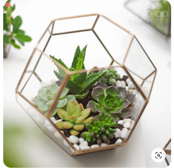 Crystal Shape Brass Edge Terrarium - Gold - Image 7