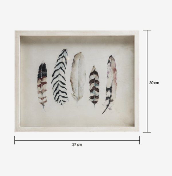 Fir Framed Wall Art With Feather Image - Image 2