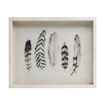 Fir Framed Wall Art With Feather Image