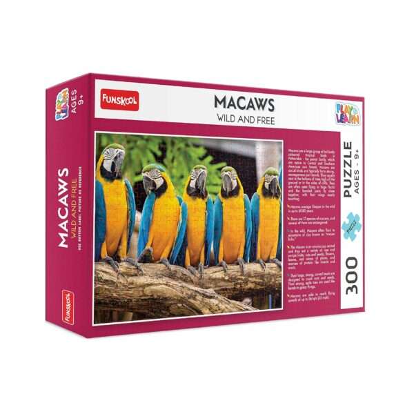 Funskool Play & Learn - Macaws - Image 5