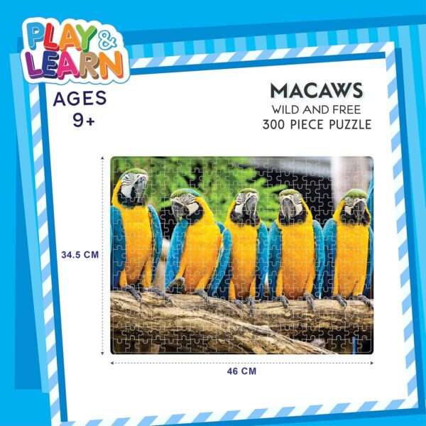 Funskool Play & Learn - Macaws - Image 2