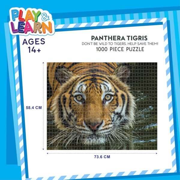 Funskool Play & Learn - Panthera Tigris - Image 3