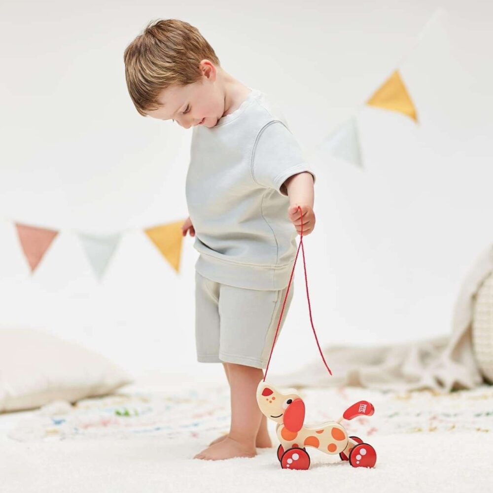 Hape - Pepe Pull Along - Image 3