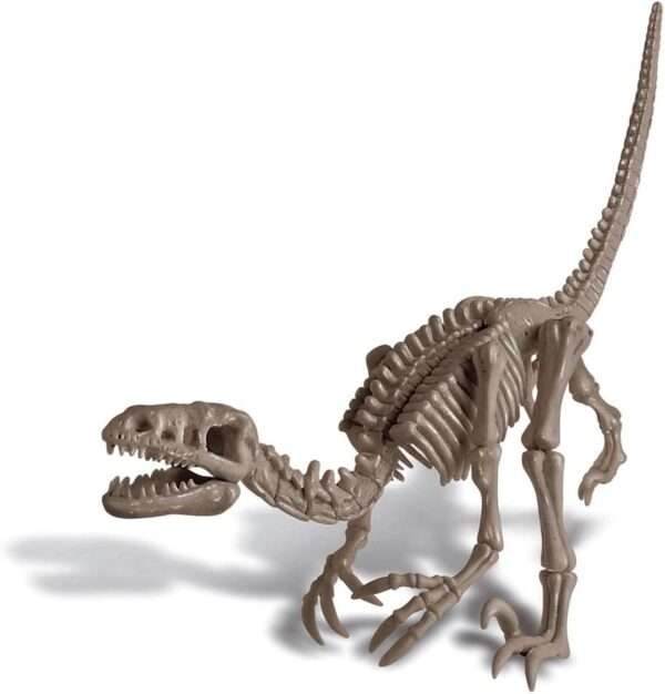 4M KidzLabs - Dig A Velociraptor Skeleton - Image 5