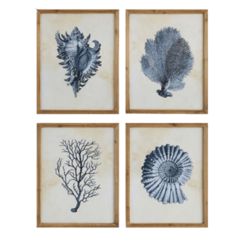 Fir Framed Wall Art With Coral & Shells Image
