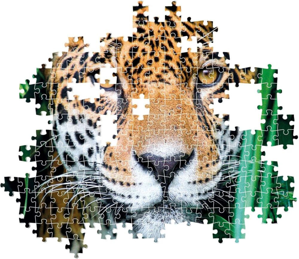 Clementoni - Puzzle + Poster - Jaguar in the Jungle - 500 Piece - Image 6