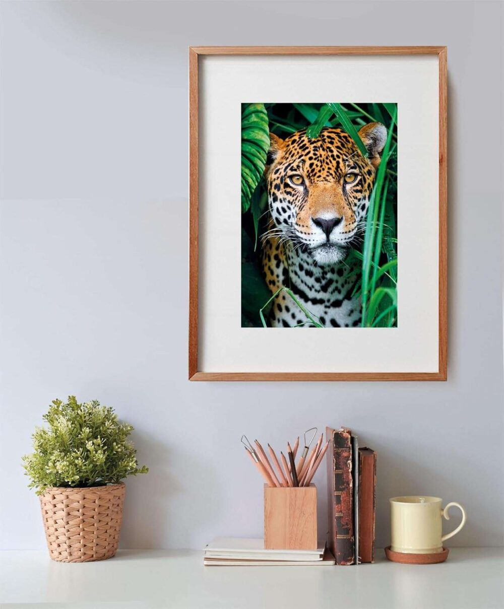Clementoni - Puzzle + Poster - Jaguar in the Jungle - 500 Piece - Image 7