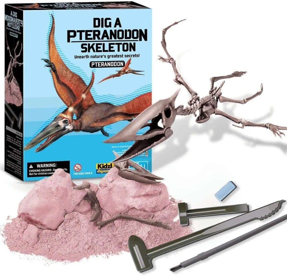 4M Dig a Pteranodon Skeleton - Image 3