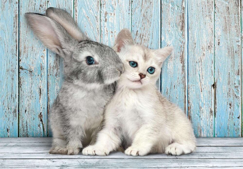 Clementoni - Puzzle + Poster - Cat and Rabbit - 500 Pieces - Image 3