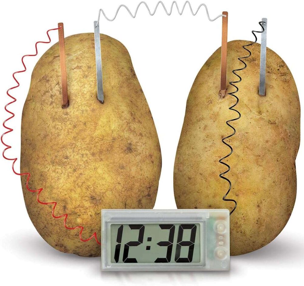 4M Green Science - Potato Clock - Image 4