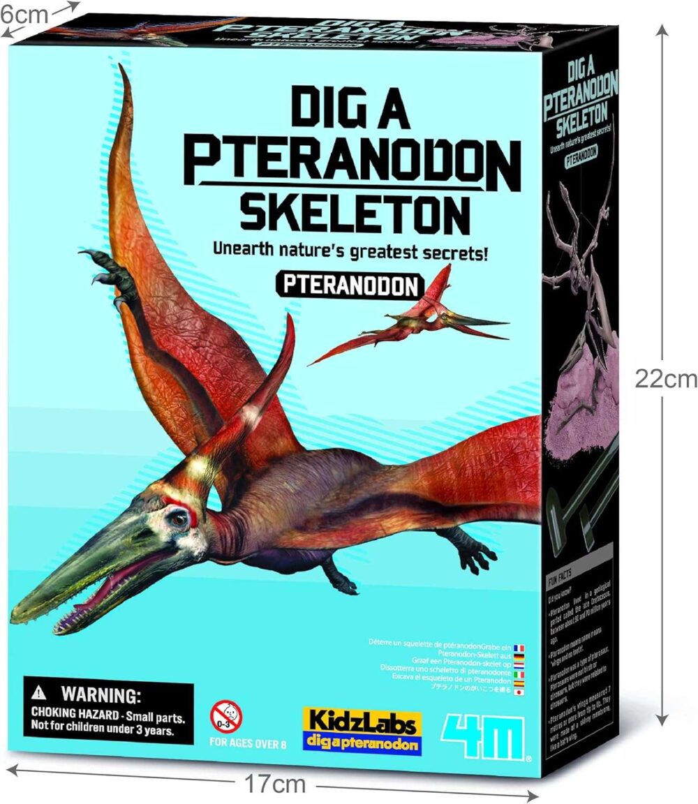 4M Dig a Pteranodon Skeleton - Image 4