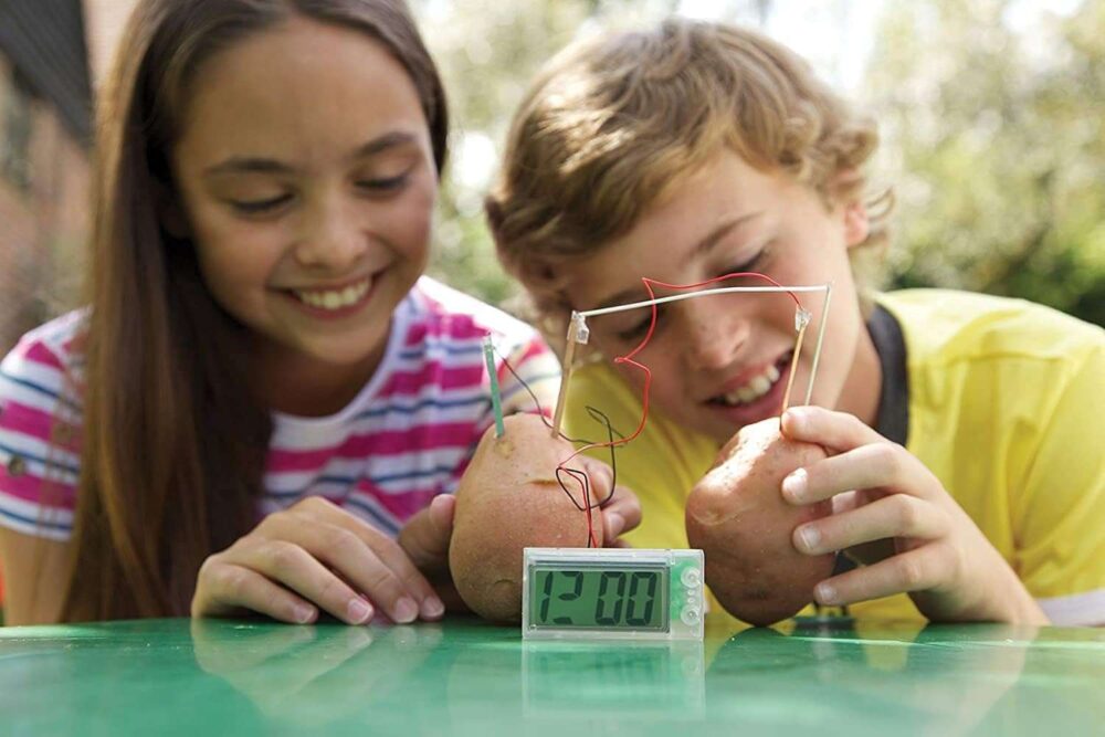 4M Green Science - Potato Clock - Image 5