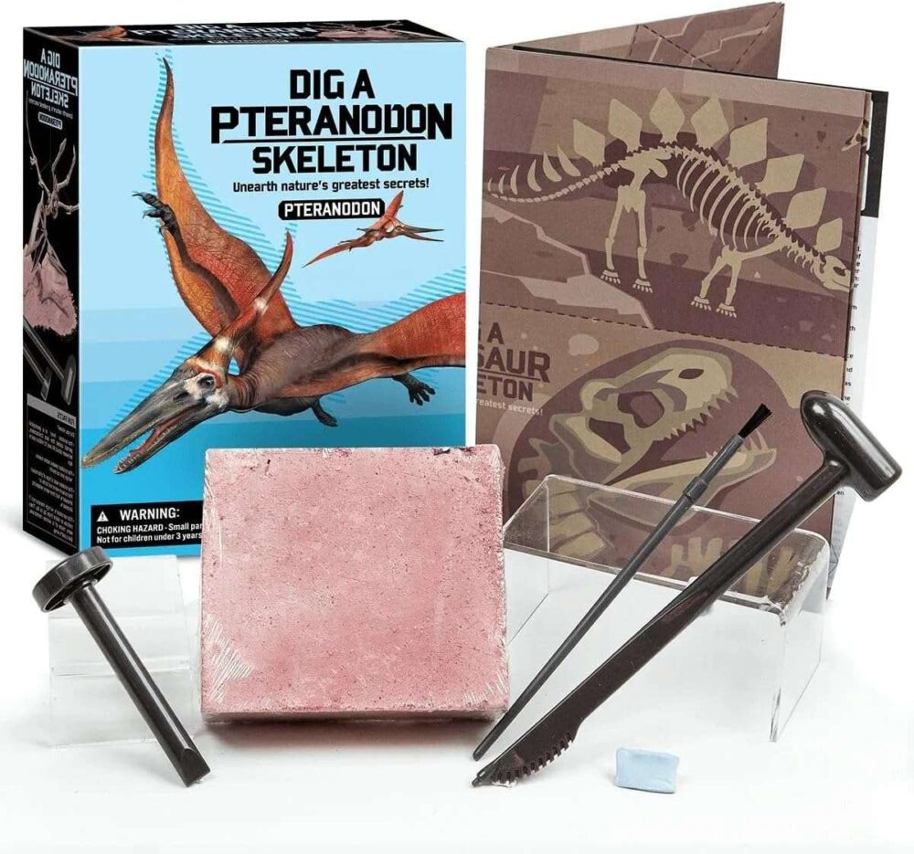4M Dig a Pteranodon Skeleton - Image 5