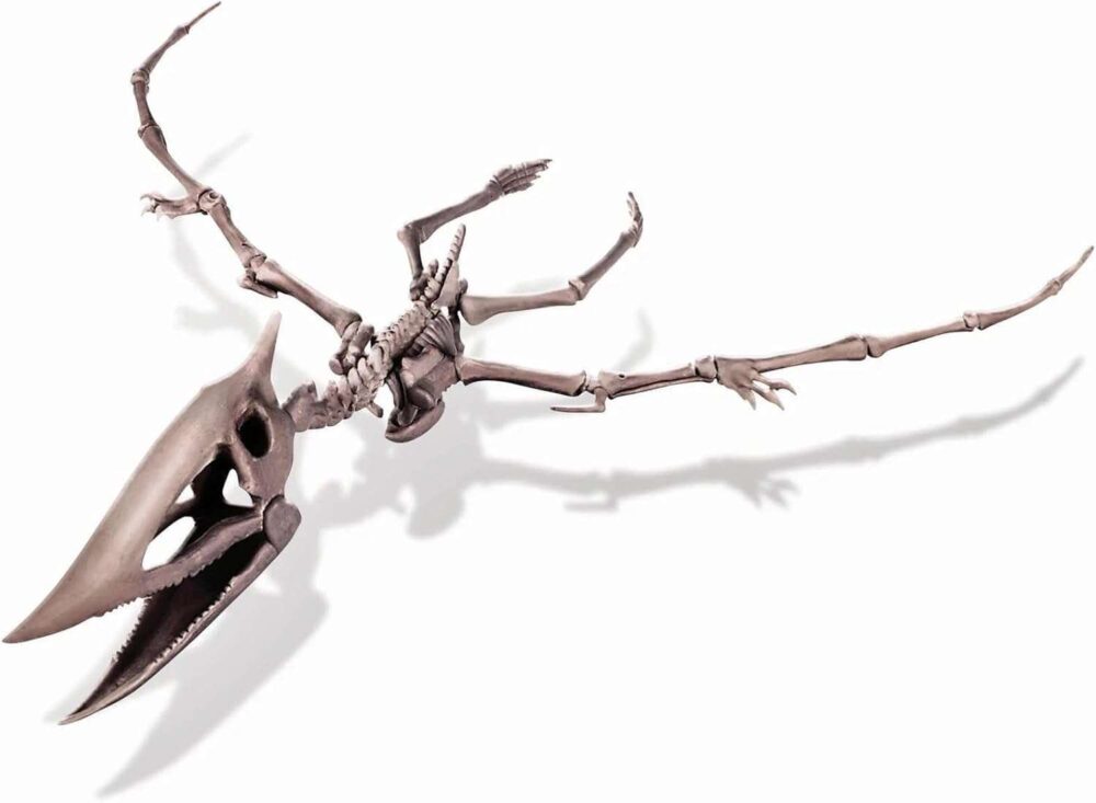 4M Dig a Pteranodon Skeleton - Image 6