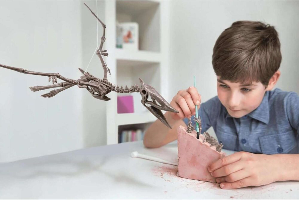 4M Dig a Pteranodon Skeleton - Image 9