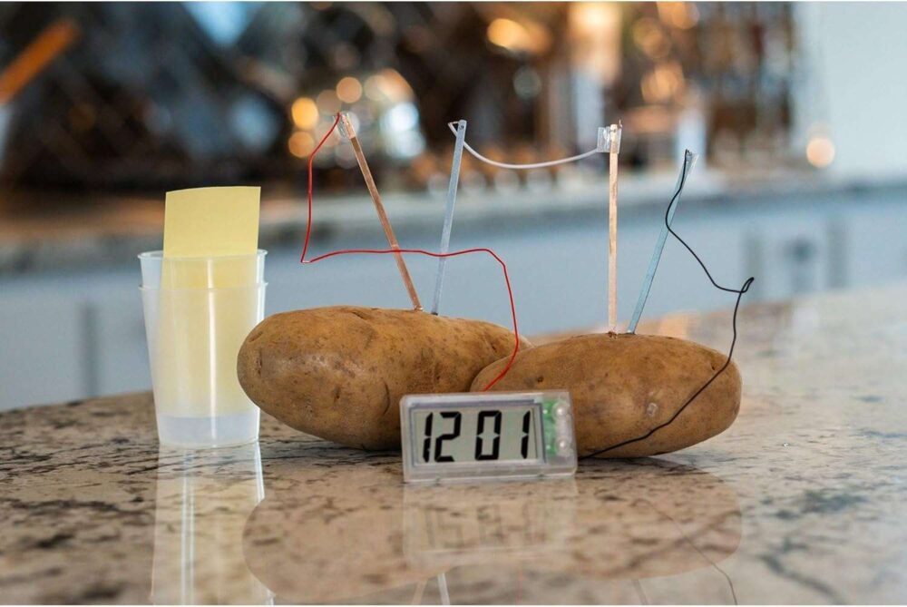 4M Green Science - Potato Clock - Image 10
