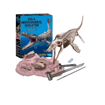 4M Dig A Mosasaurus Skeleton