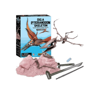 4M Dig a Pteranodon Skeleton