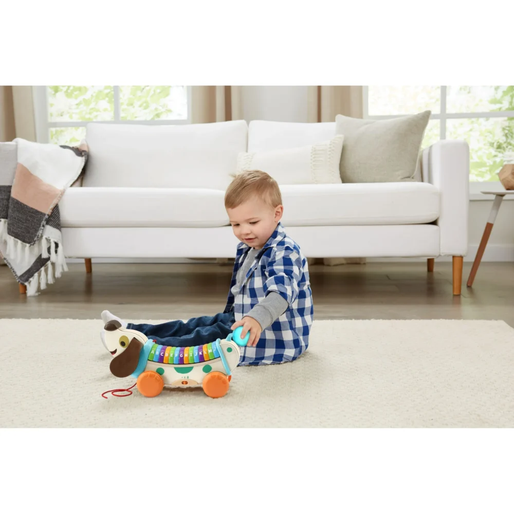 LeapFrog – Wooden AlphaPup - Image 4