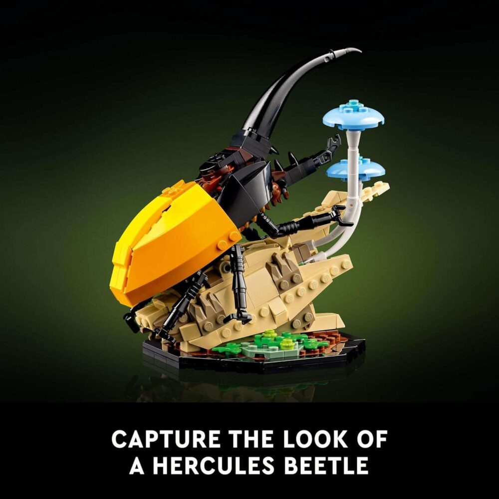 LEGO Ideas The Insect Collection - Image 5