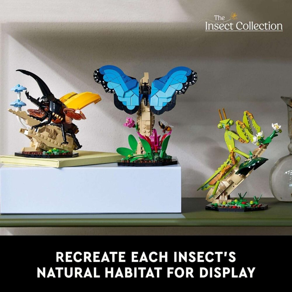 LEGO Ideas The Insect Collection - Image 7