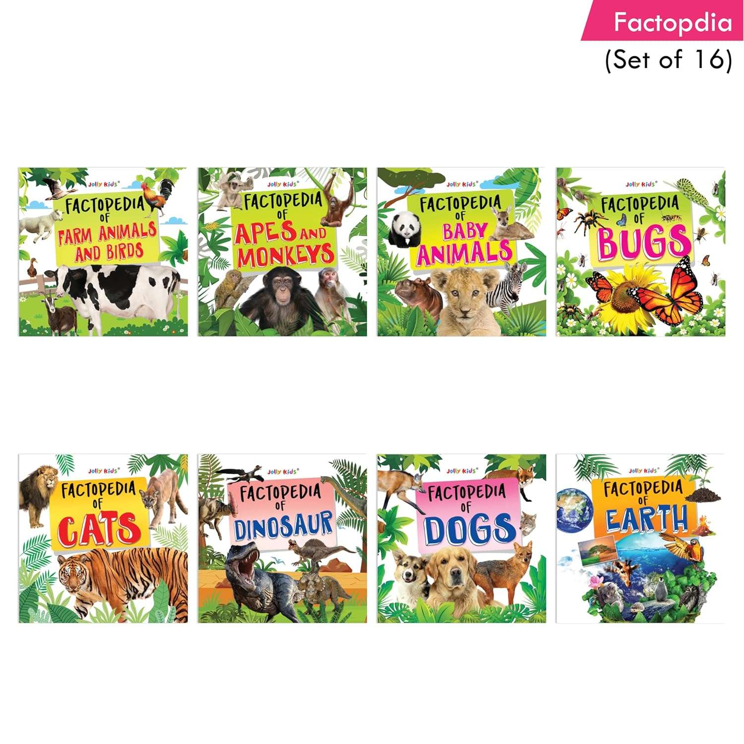 Jolly Kids - Factopedia Books Set - Assorted - Image 2