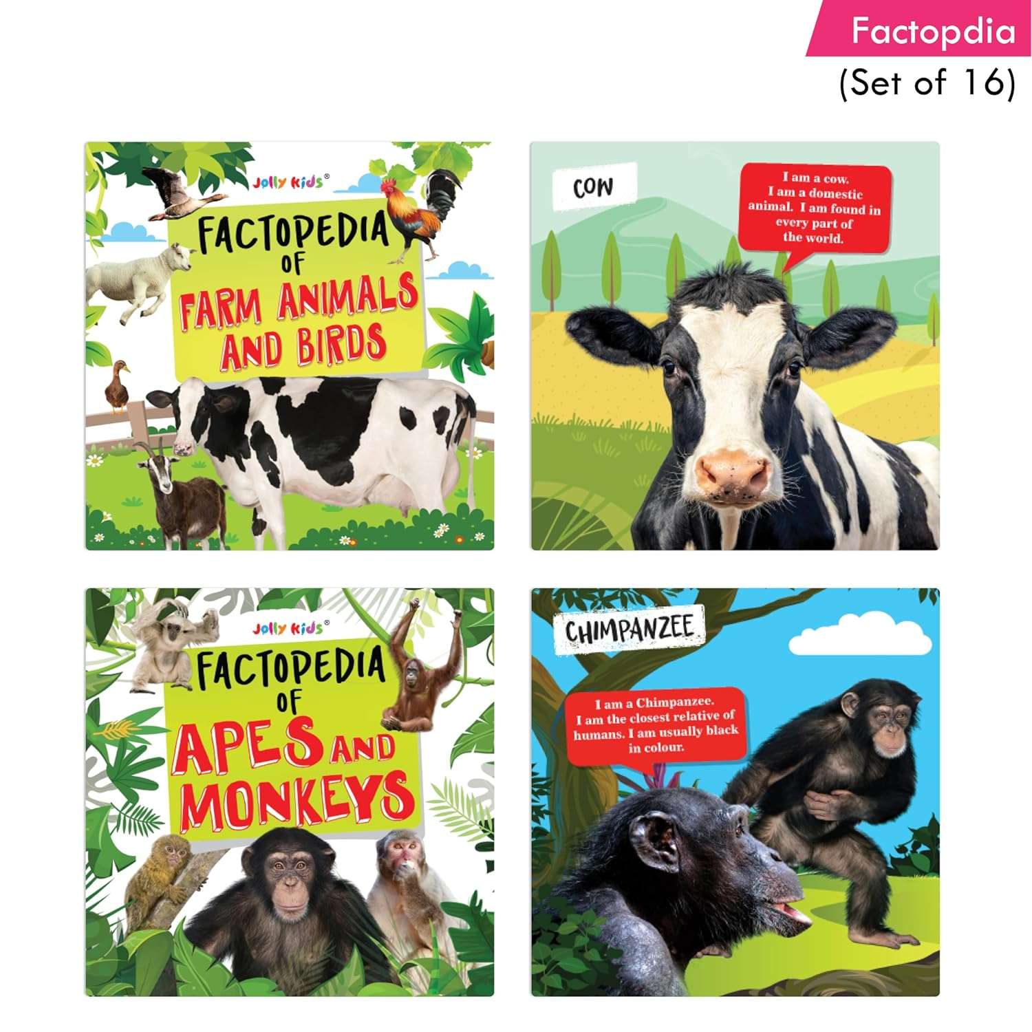 Jolly Kids - Factopedia Books Set - Assorted - Image 3