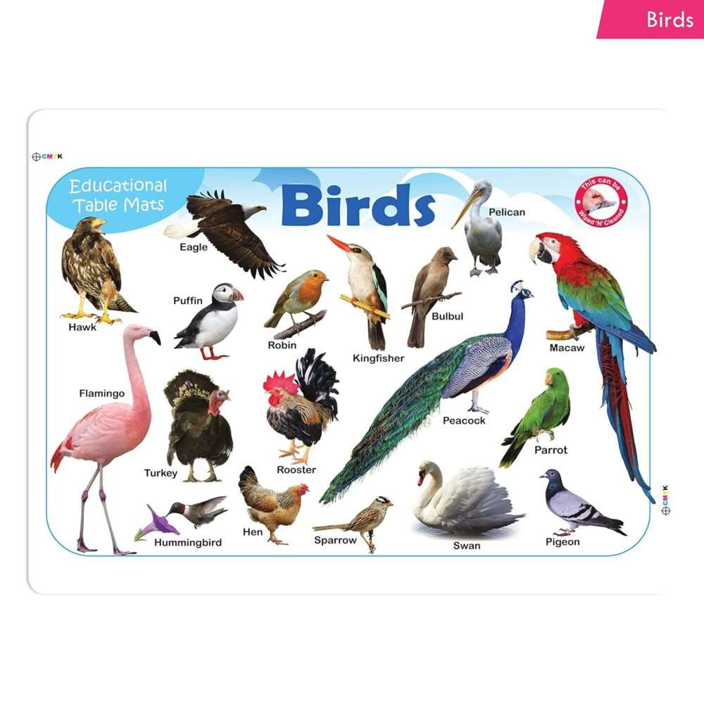 Jolly Kids - Picture Learning Educational Table Mat - Assorted - Image 4