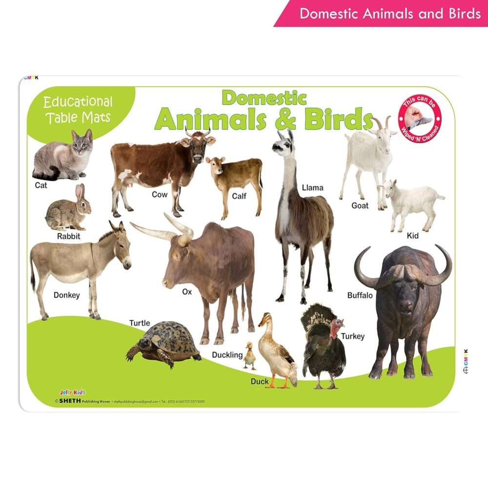 Jolly Kids - Picture Learning Educational Table Mat - Assorted - Image 5