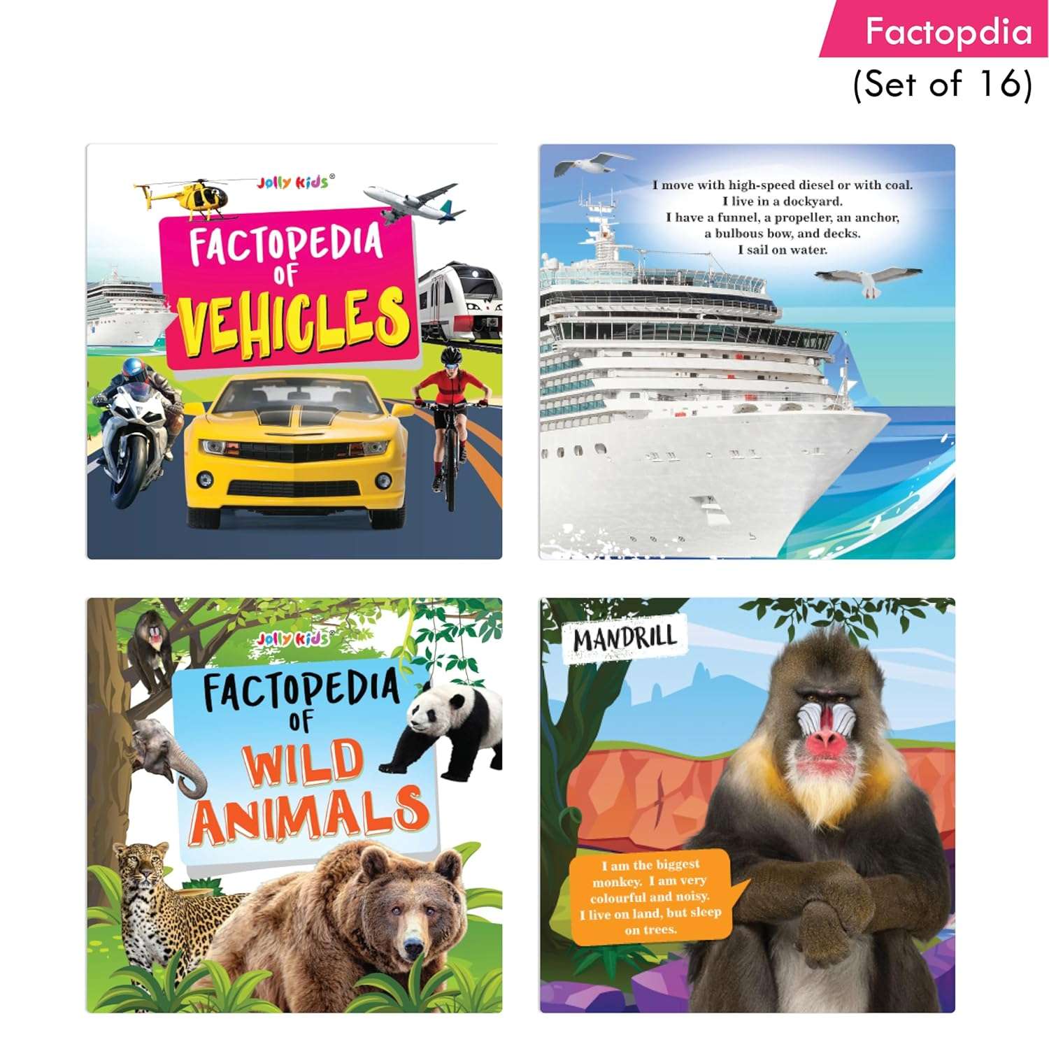 Jolly Kids - Factopedia Books Set - Assorted - Image 7
