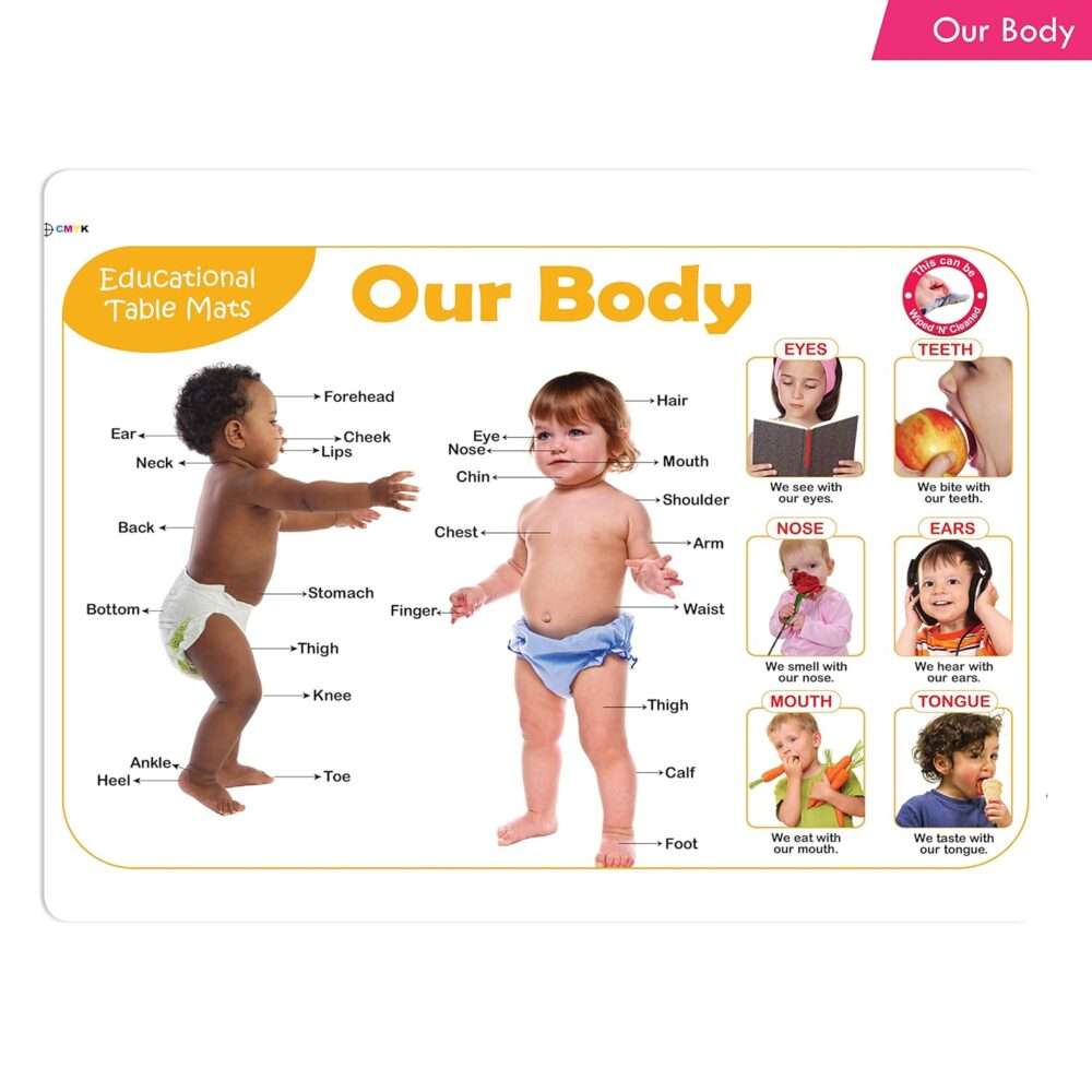 Jolly Kids - Picture Learning Educational Table Mat - Assorted - Image 8