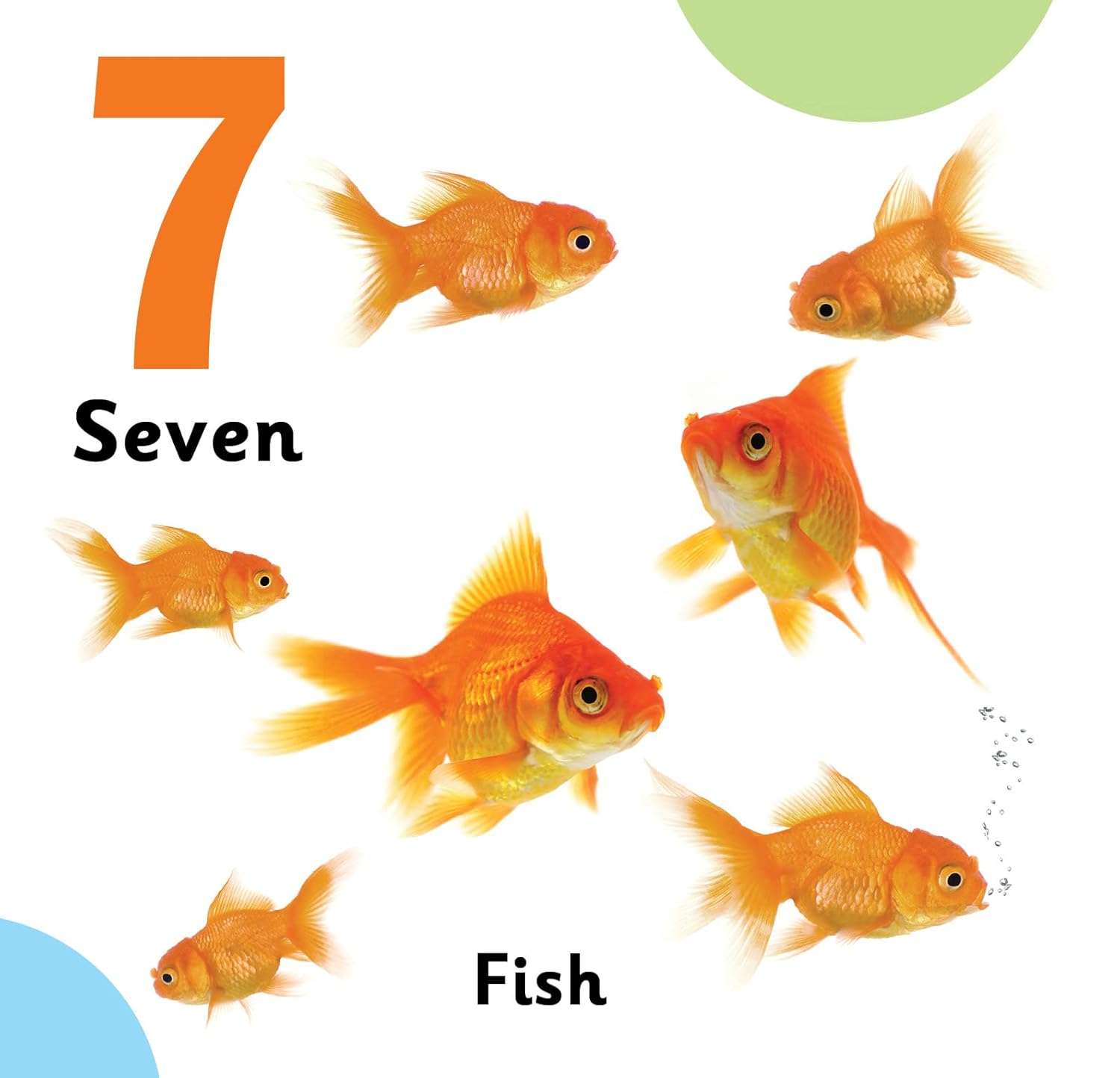 Jolly Kids Touch and Feel Book: 123 - Image 8