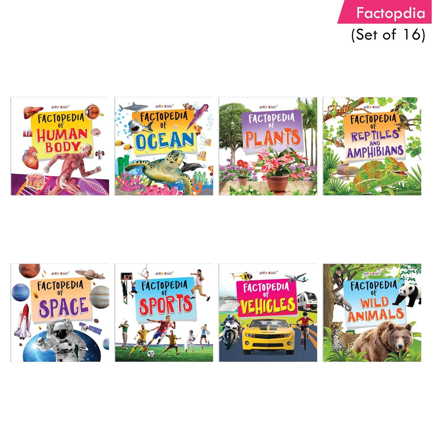 Jolly Kids - Factopedia Books Set - Assorted - Image 10