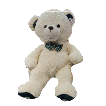 70cm Plush - Teddy Bear