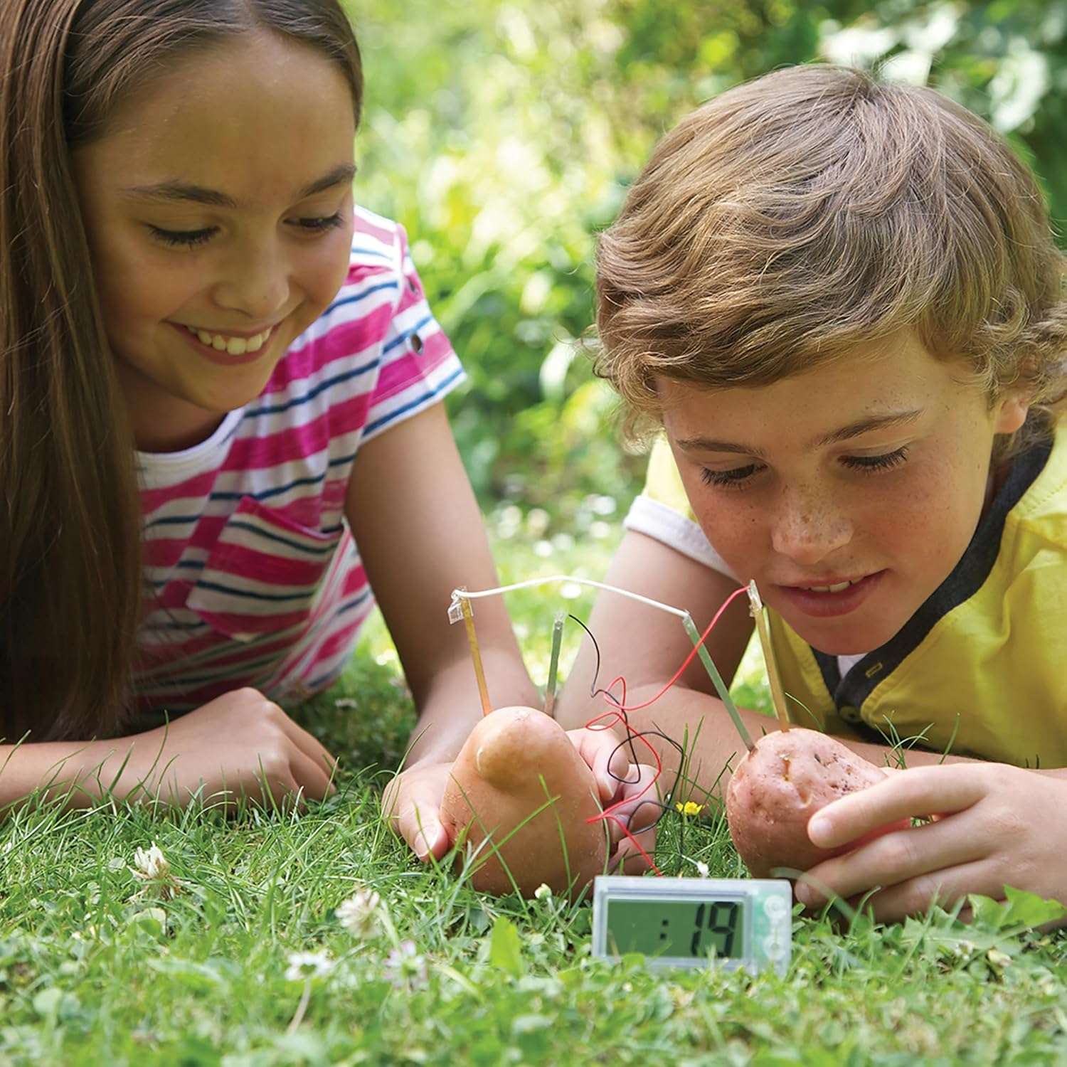 4M Green Science - Potato Clock - Image 5