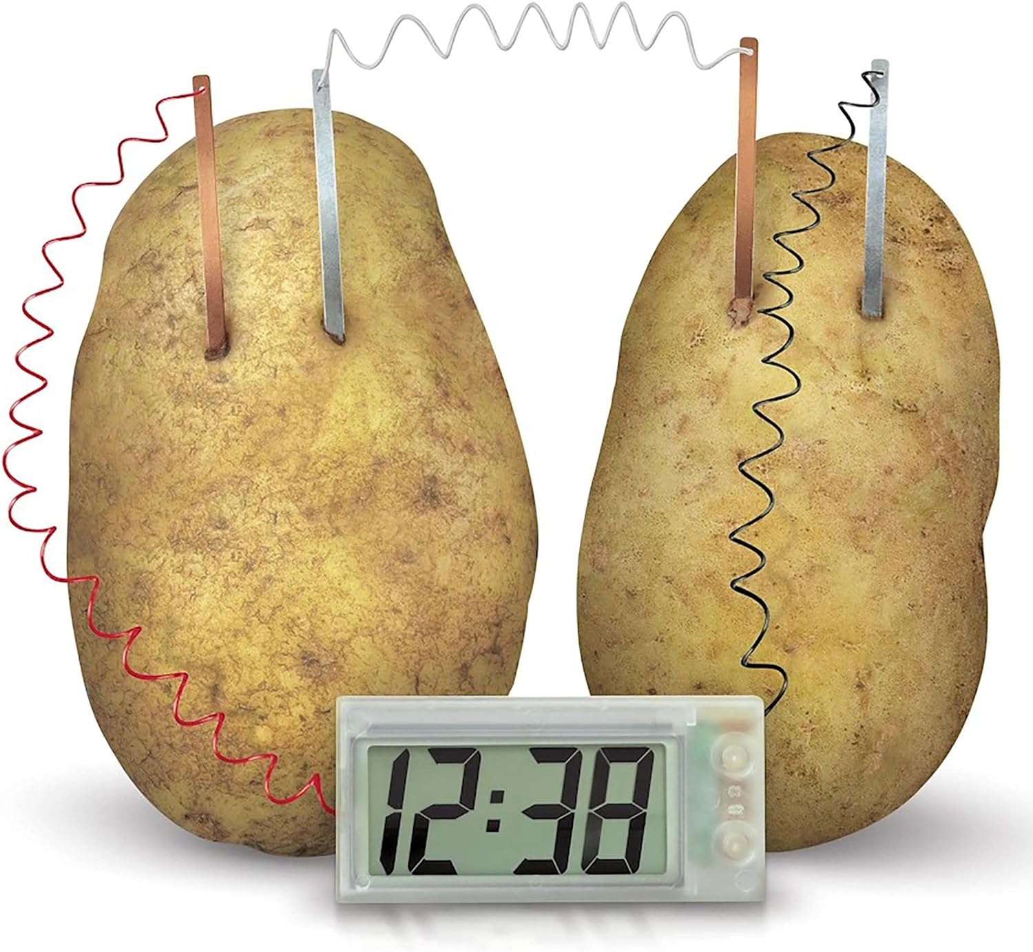 4M Green Science - Potato Clock - Image 8