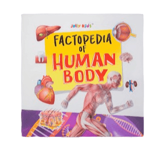 Jolly Kids - Factopedia Of Human Body