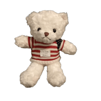 30cm Classic White Teddy Bear – Soft Snuggle Companion