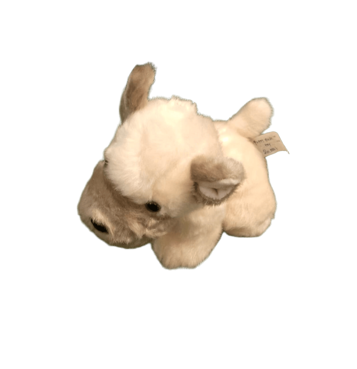 Soft Off-White Puppy Plush Toy – Cuddly Cream Stuffed Dog